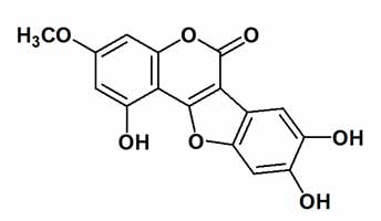 Wedelolactone